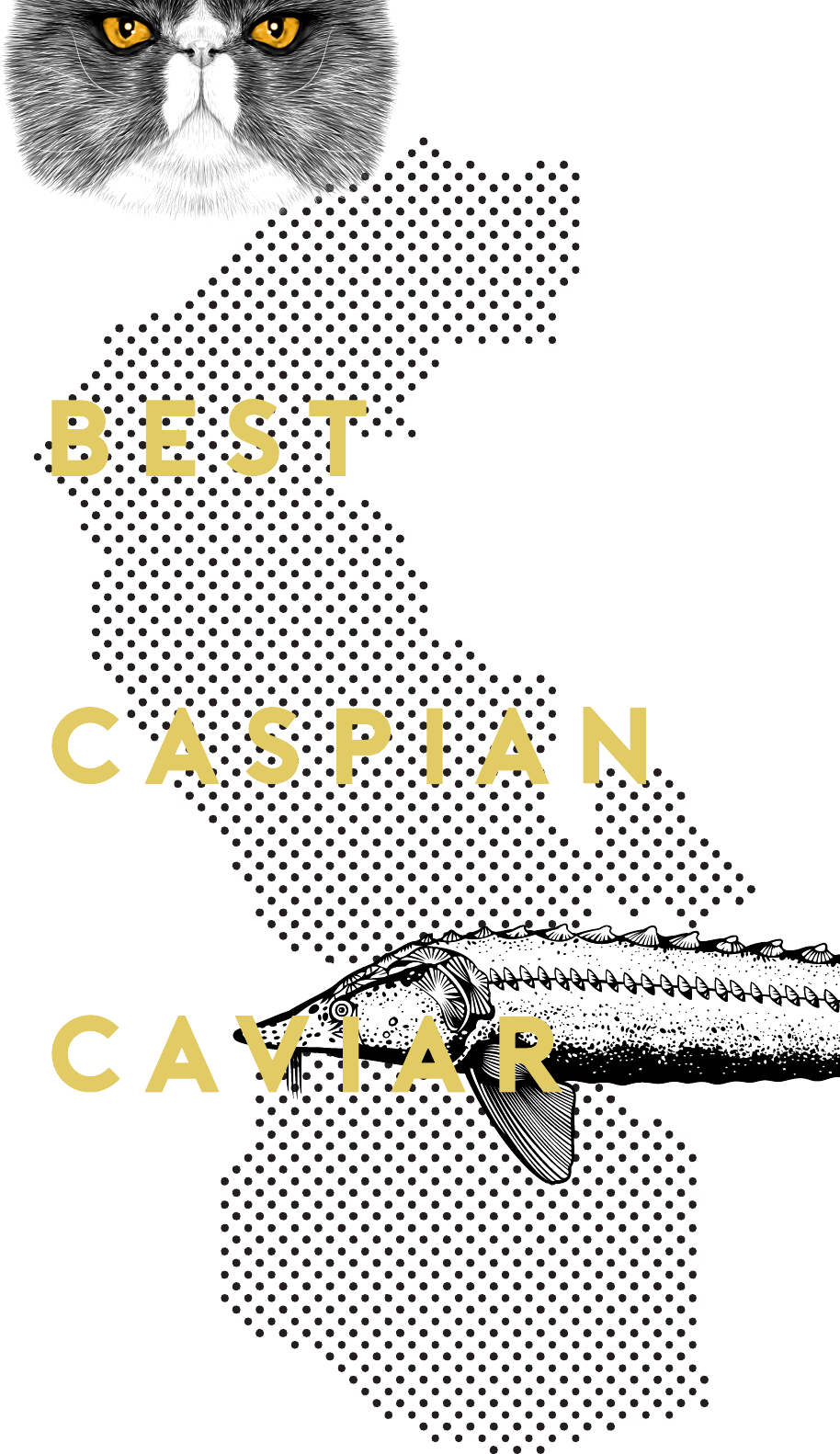 Graphic representation of the Caspian region